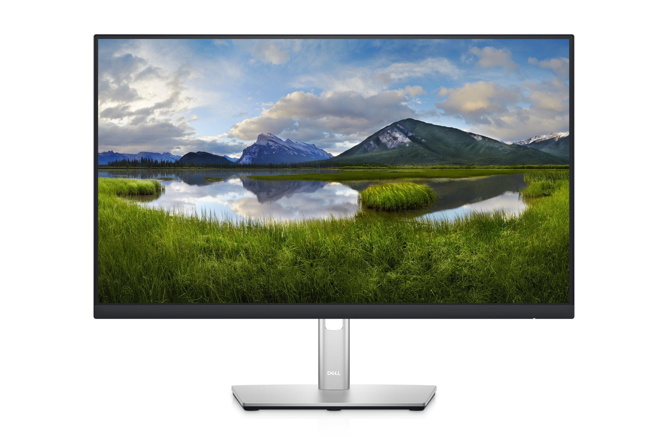 Dell P2422HE 24" Monitor