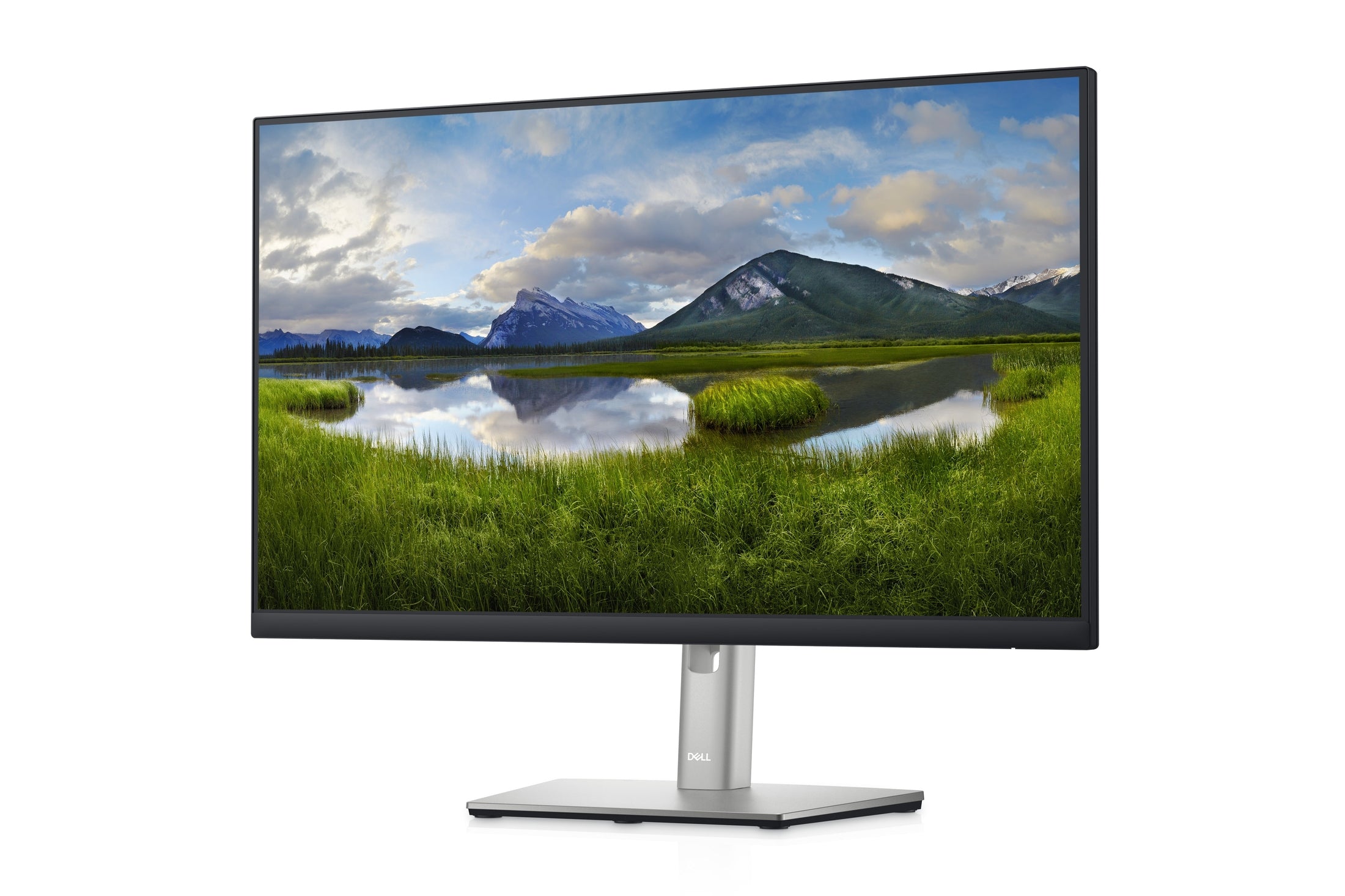 Dell P2422HE 24" Monitor