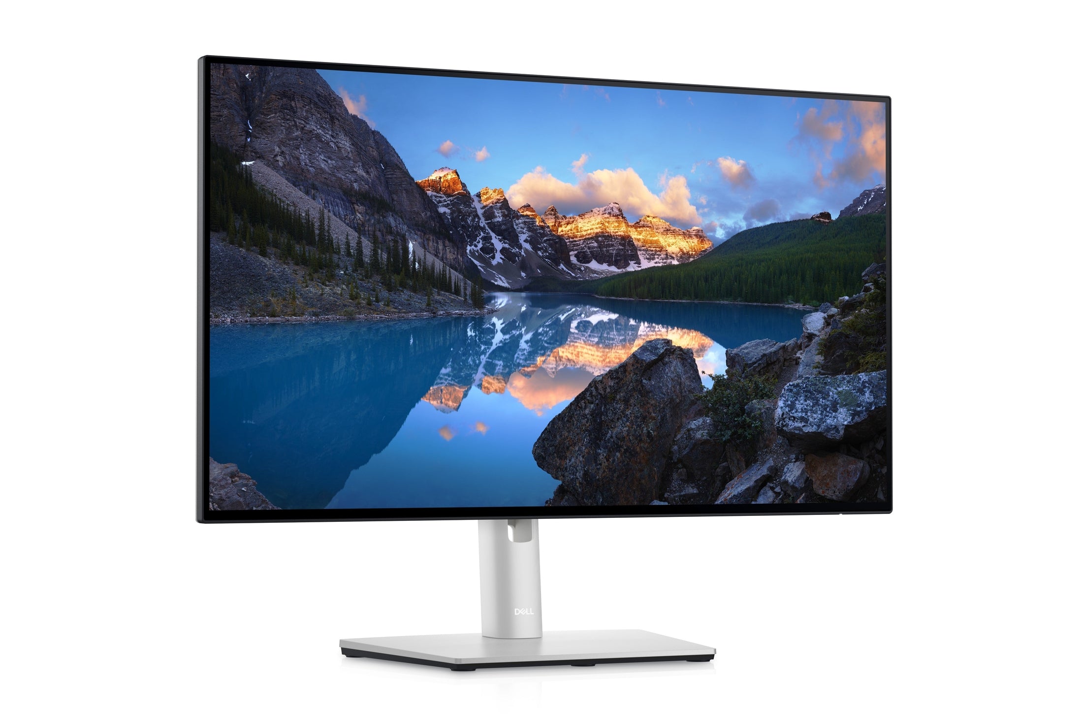 Dell U2422HE 24" Monitor