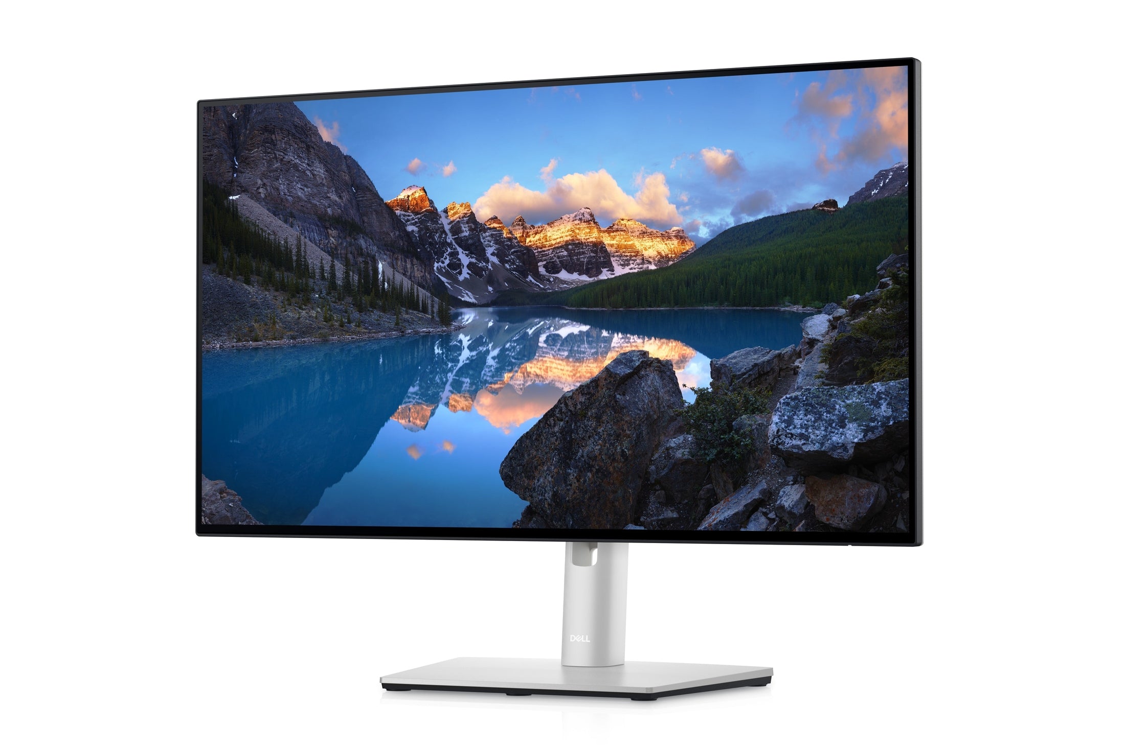 Dell U2422HE 24" Monitor