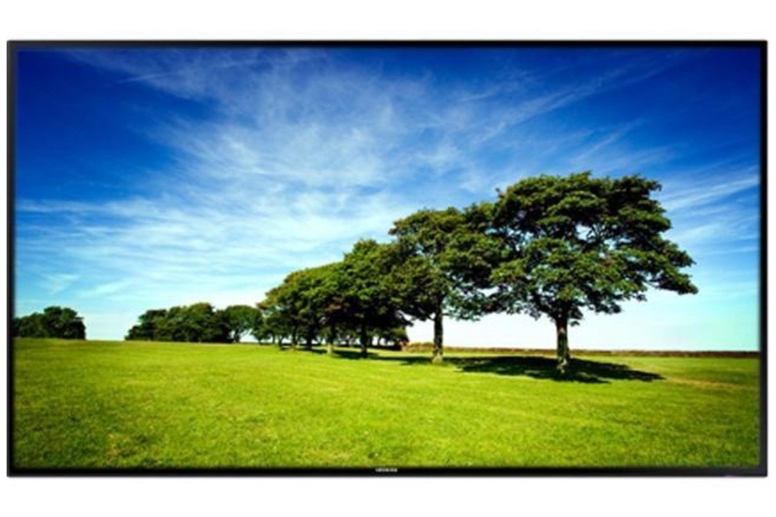 Samsung ED65E, Basic display | LH65EDEPLGC/EN (Alleen afhalen) | Black Friday