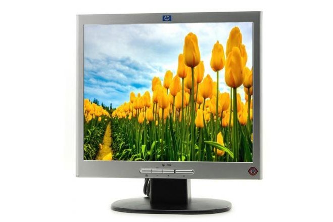 HP L1702 17" LCD Monitor