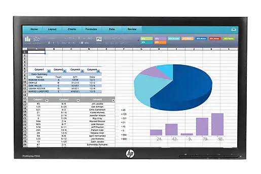 HP ProDisplay P202 Zonder Monitorstandaard