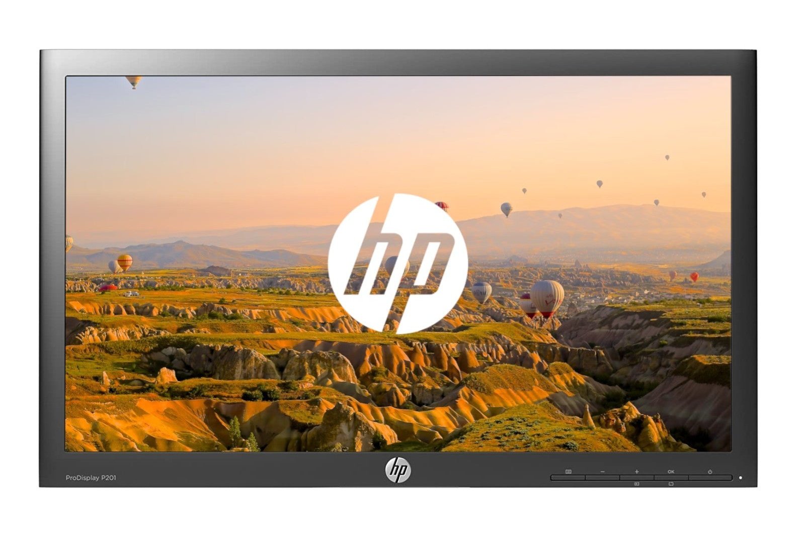 HP ProDisplay P201 Zonder Monitorstandaard